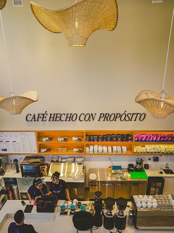 Nueva Costanera, Chile