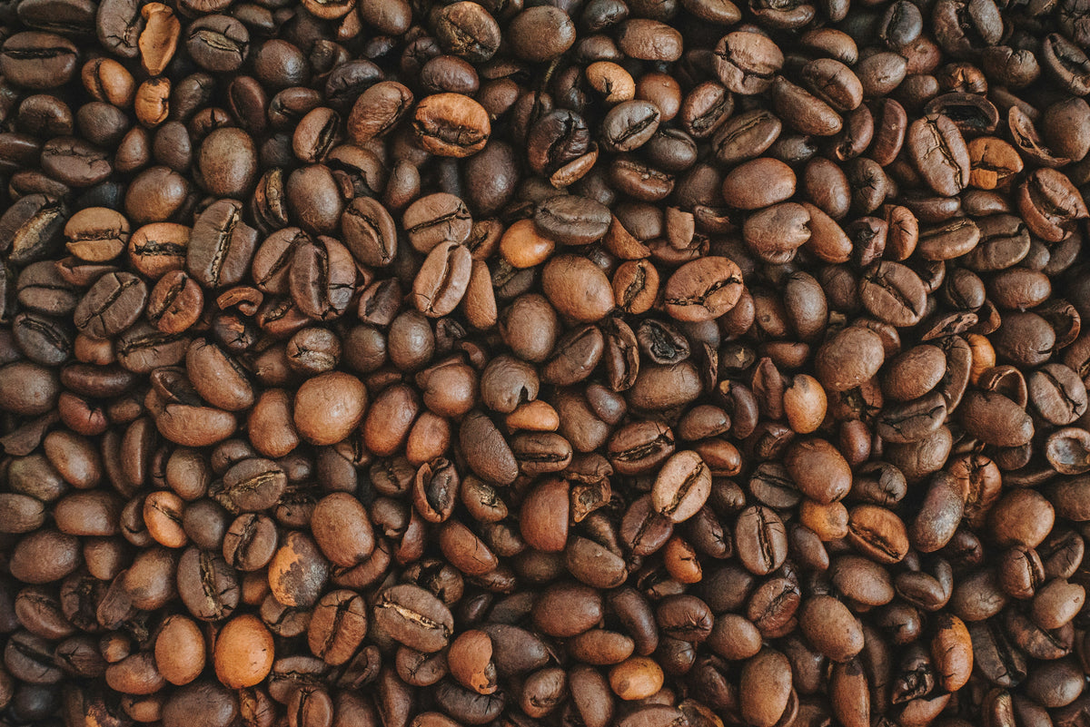 Best Coffee Beans in India 2026