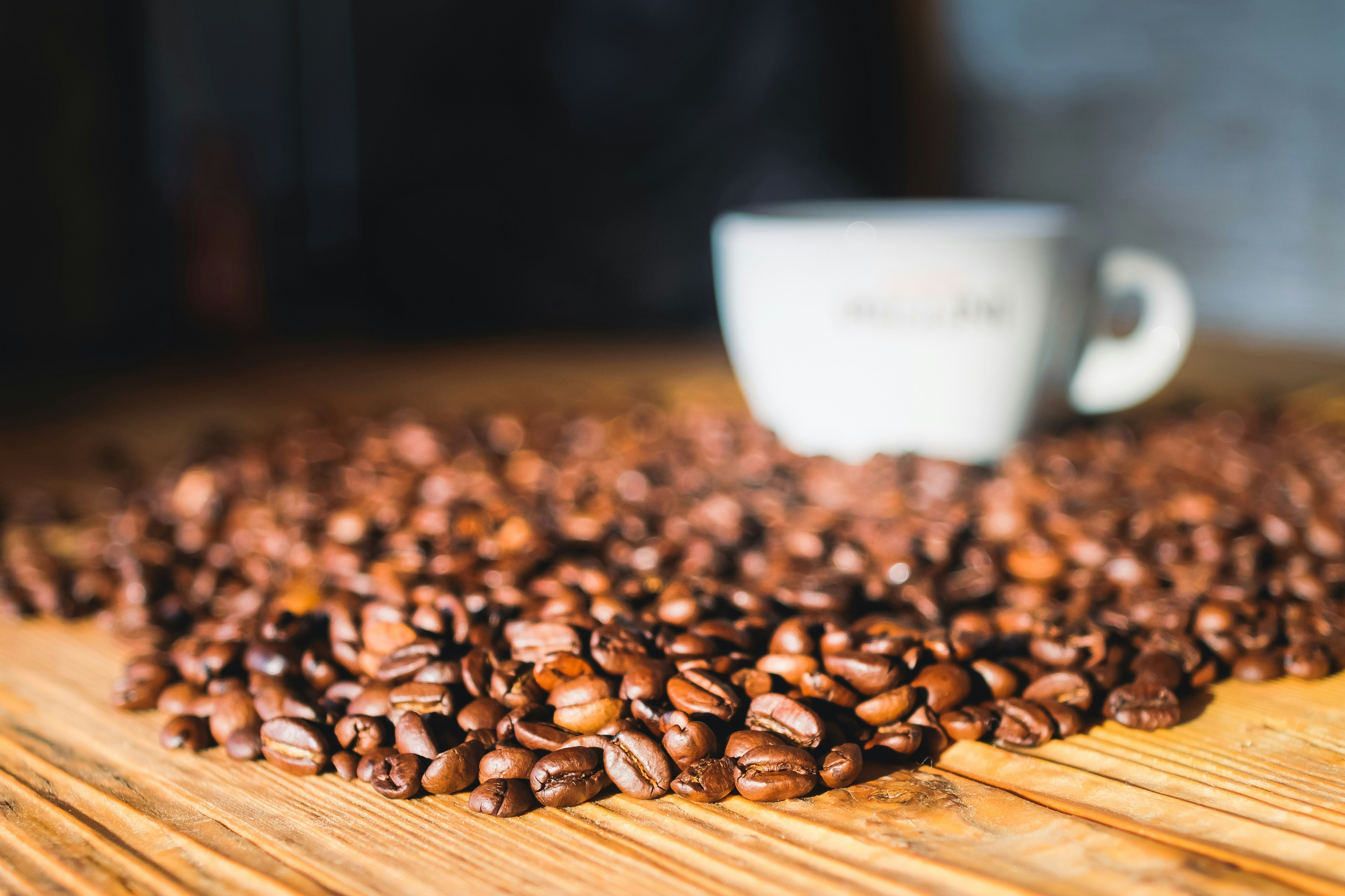 Arabica vs Robusta Coffee Beans: What to Choose?