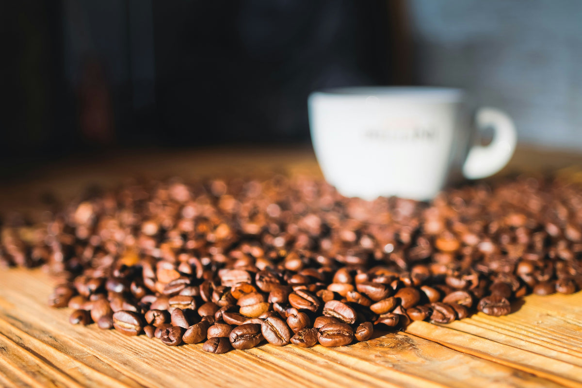 Arabica vs Robusta Coffee Beans: What to Choose?